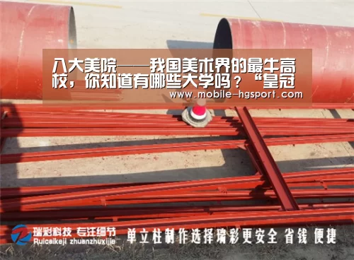 皇冠体育app