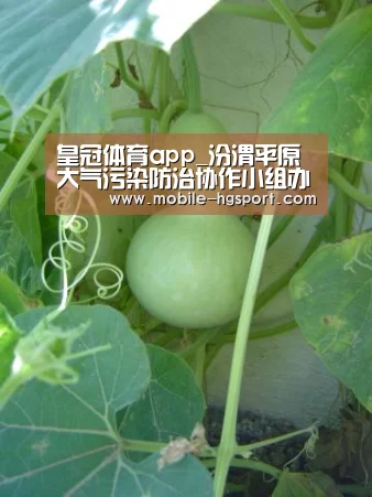皇冠体育下载